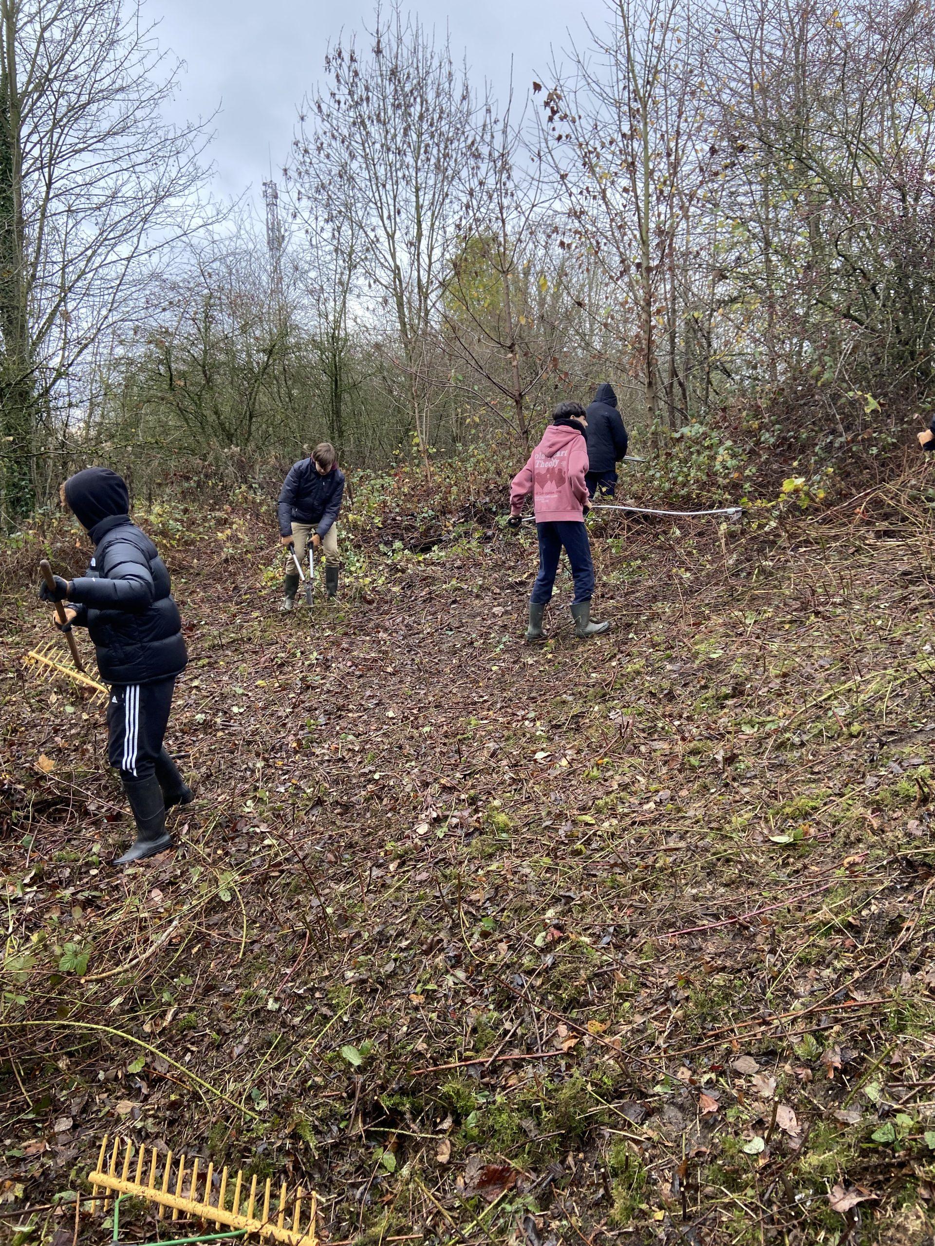 Eco délégués : Chantier Nature “Les Blongios, la nature en chantiers” à Faches-Thumesnil – Lycée Jean Prouvé de Lomme
