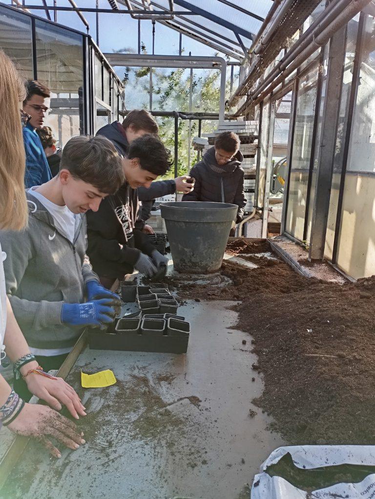 Mardi 7 avril : Éco-délégués : Formation semis par le lycée horticole – Lycée Jean Prouvé de Lomme