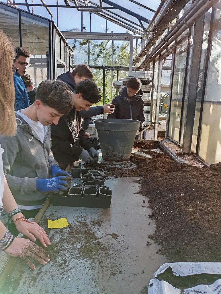 Mardi 7 avril : Éco-délégués : Formation semis par le lycée horticole – Lycée Jean Prouvé de Lomme