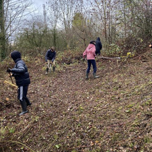 Eco délégués : Chantier Nature “Les Blongios, la nature en chantiers” à Faches-Thumesnil – Lycée Jean Prouvé de Lomme